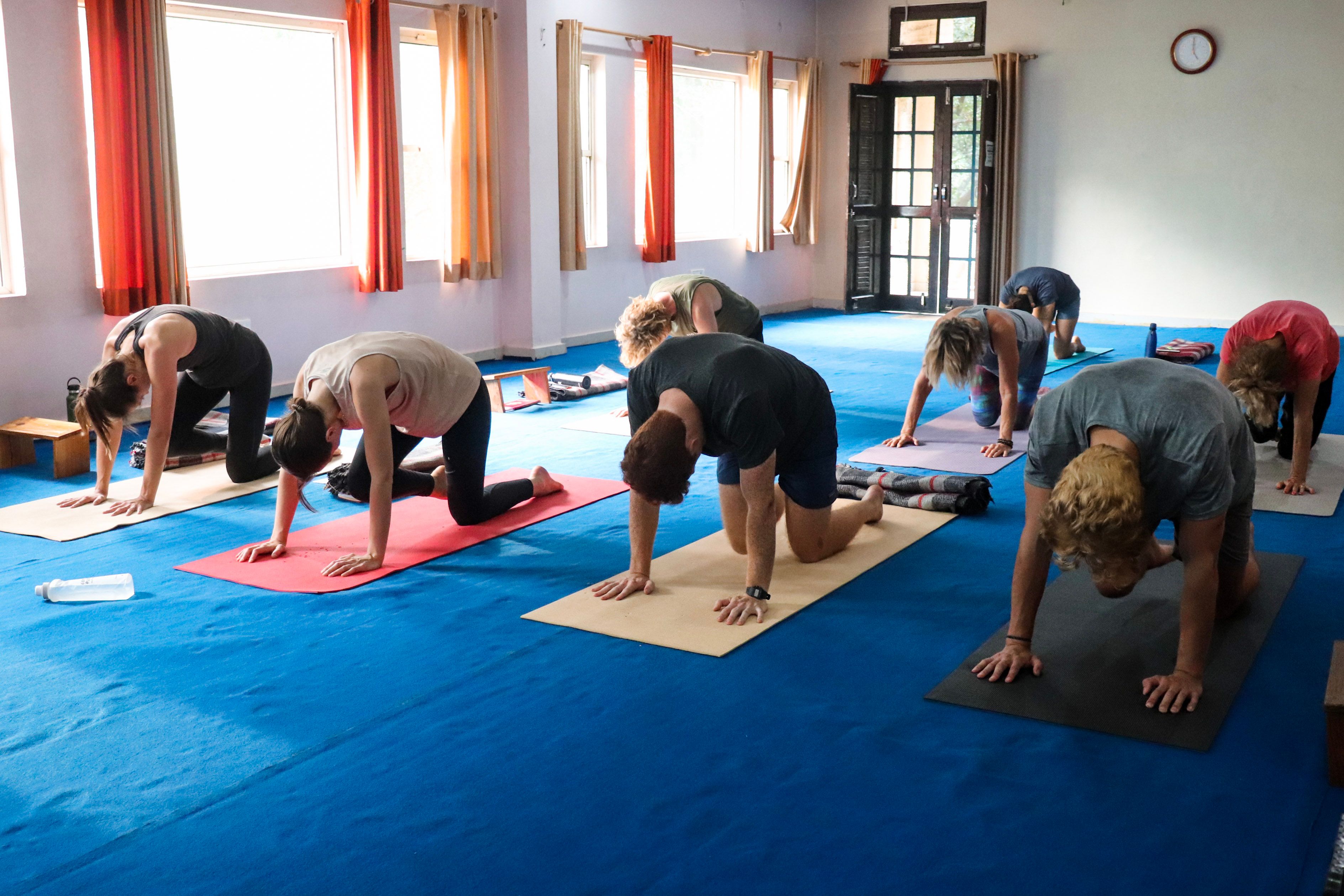 Yoga Classes